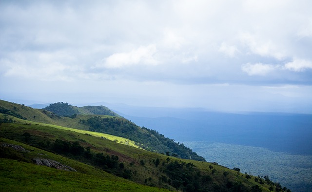 竞技体育没 竞技体育没