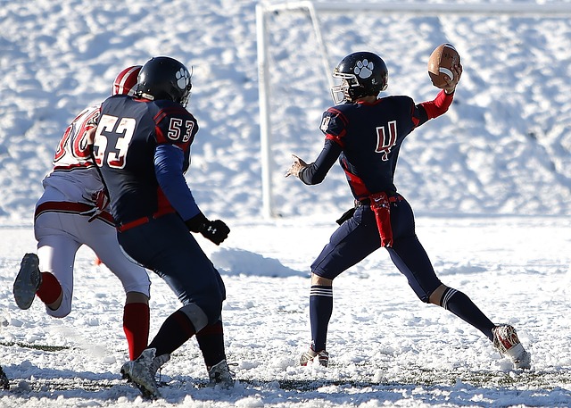 物资源的过 物资源的过