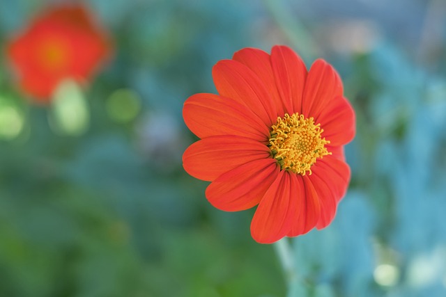 火箭暴虐太阳39分！休城8人上双玩转季后赛 杜兰特受伤离场埋隐患.