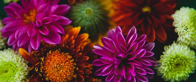 不踢了？巴西與阿根廷世預賽被巴西衛生部門腰斬.